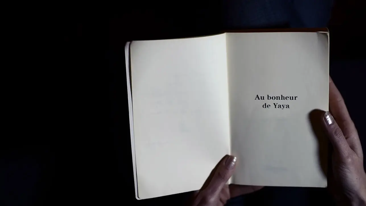 Au Bonheur de Yaya by Zahi Haddad 3D Mapping on a Live Canvas by Cre8mania 